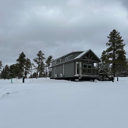Cozy Cabin By Forest View 4B 威廉斯 外观 照片